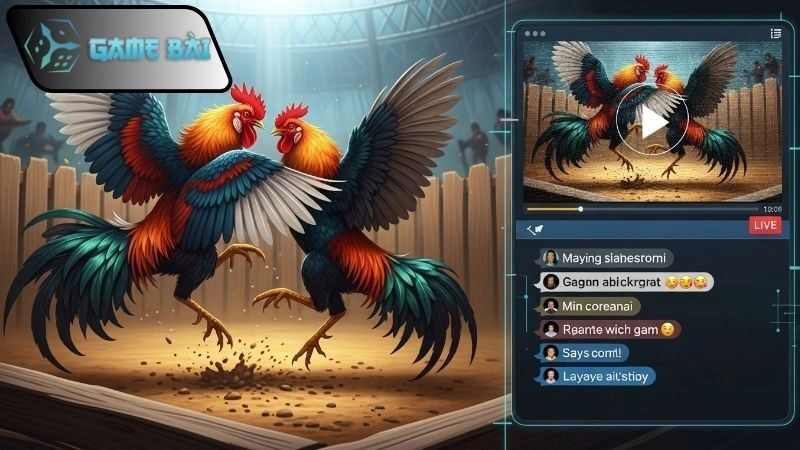 Ưu điểm khi coi đá gà casino Game Bài